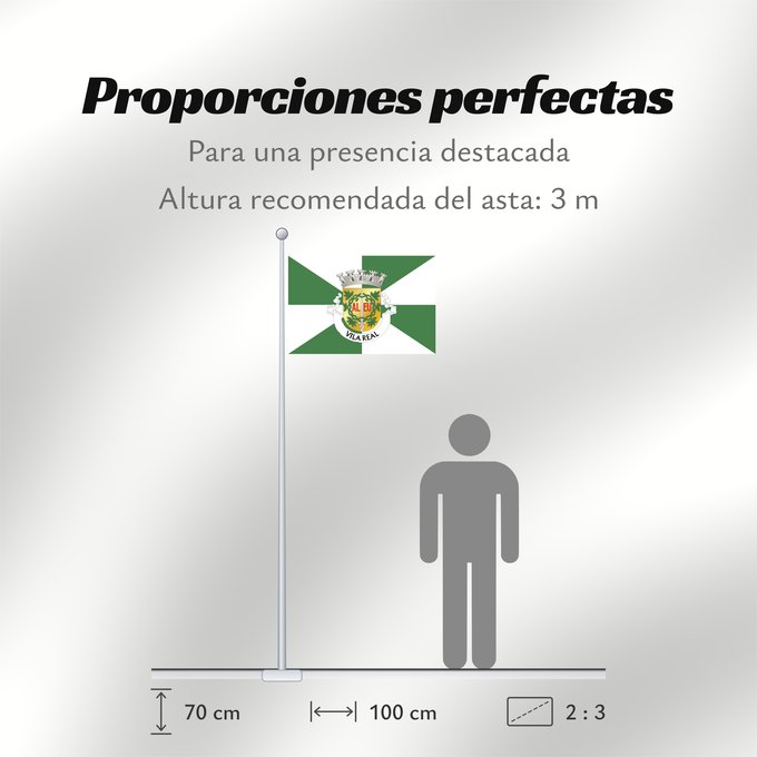 Proporciones de la bandera: Vila Real