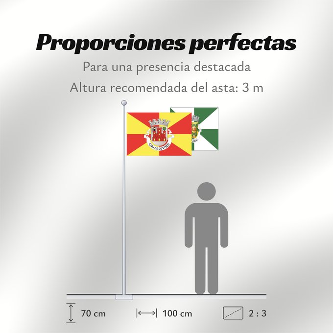 Proporciones de la bandera: Viseu