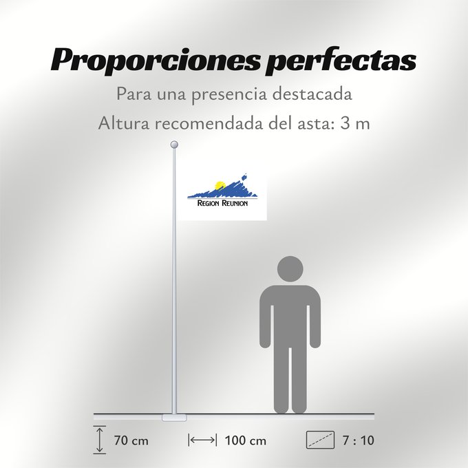 Proporciones de la bandera: Réunion