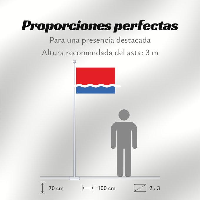 Proporciones de la bandera: Amur Oblast Oblast d'Amour Óblast de Amur Oblast Amur Флаг Амурской области