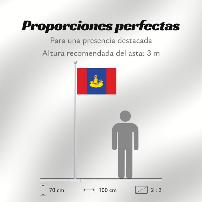 Proporciones de la bandera: Kostroma Oblast	Oblast de Kostroma	Óblast de Kostromá	Oblast Kostroma	Флаг Костромской области