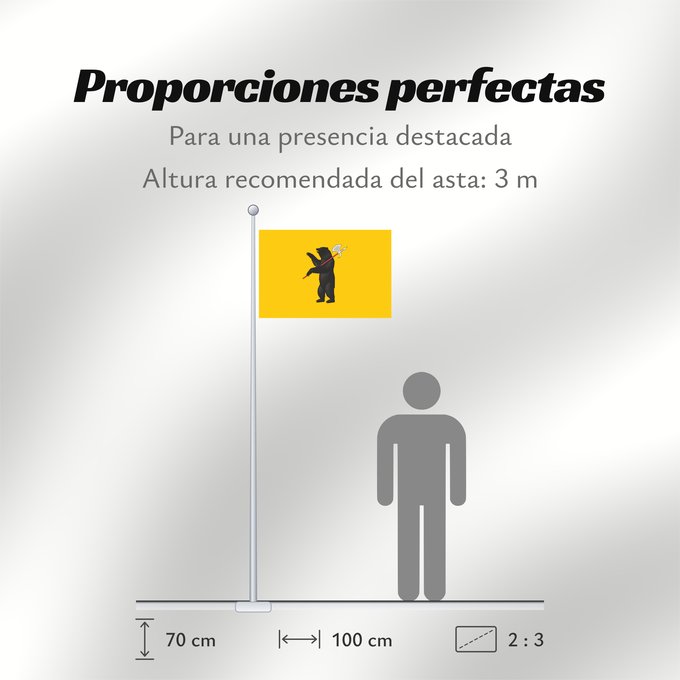 Proporciones de la bandera: Yaroslavl Oblast	Oblast de Iaroslavl	Óblast de Yaroslavl	Oblast Jaroslawl	Флаг Ярославской области