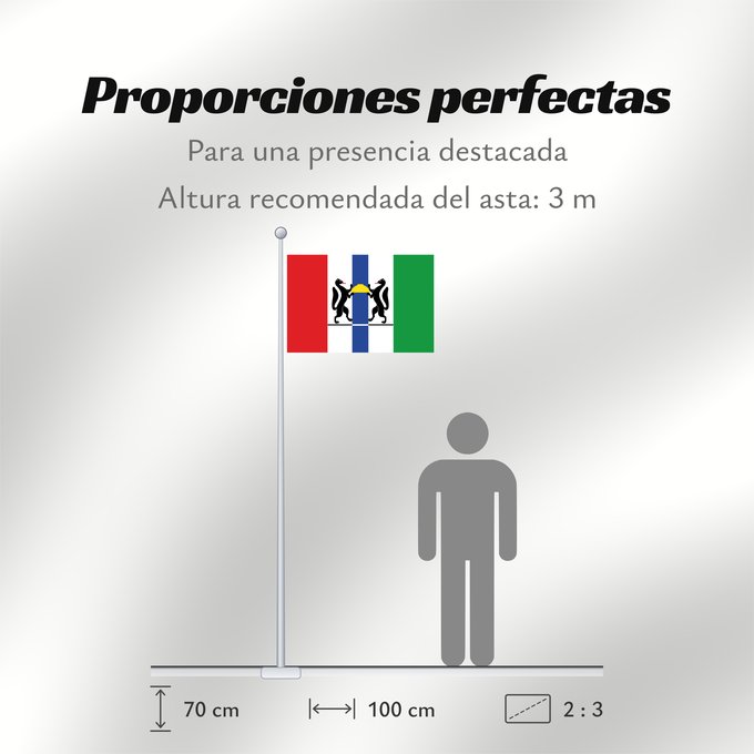 Proporciones de la bandera: Novosibirsk oblast Og Novosibirsk region Oblast de Novossibirsk Óblast de Novosibirsk Oblast Nowosibirsk Novosibirsk Oblast Флаг Новосибирской области