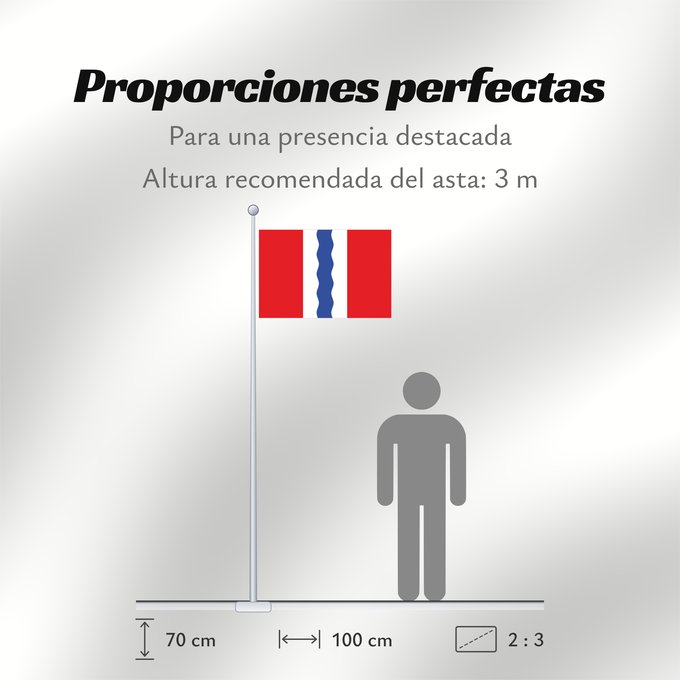 Proporciones de la bandera: Omsk Oblast Omsk Oblast Oblast d'Omsk Óblast de Omsk Oblast Omsk