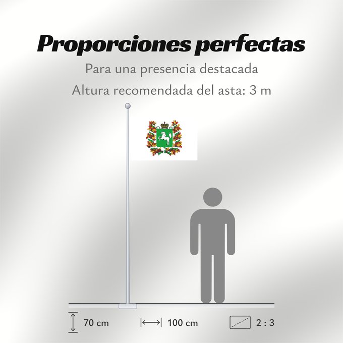 Proporciones de la bandera: Tomskaya oblast'