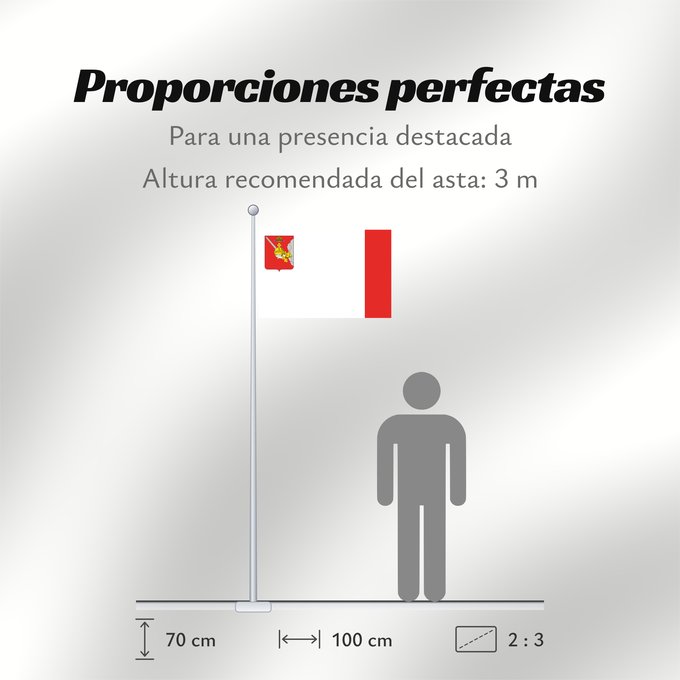 Proporciones de la bandera: Vologda Oblast	Vologda Oblast 	Oblast de Vologda	Óblast de Vólogda	Oblast Wologda