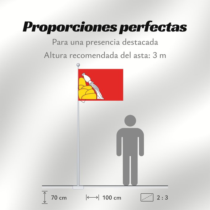 Proporciones de la bandera: Voronezh Oblast	Voronezh Oblast of Russia	Oblast de Voronej	Óblast de Vorónezh	Oblast Woronesch	Флаг Воронежской области  Россия	Прапор Воронезької області  Росія