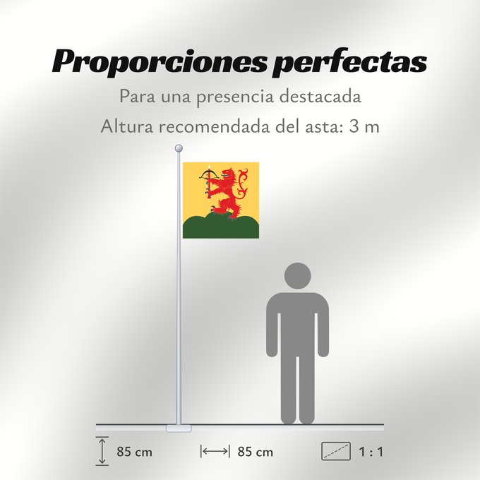 Proporciones de la bandera: Kronobergs län vapenflagga	Kronoberg County in Sweden	Kronoberg	Provincia de Kronoberg	Kronobergs läns vapenflagga