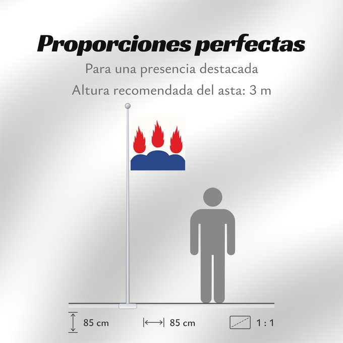 Proporciones de la bandera: Västmanlands län