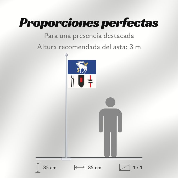Proporciones de la bandera: Jämtlands län