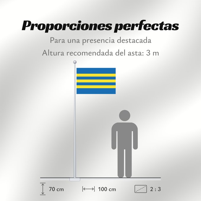 Proporciones de la bandera: Trnavsky vlajka	Trnava Region	Région de Trnava	Región de Trnava	Trnava	Trnava Regione
