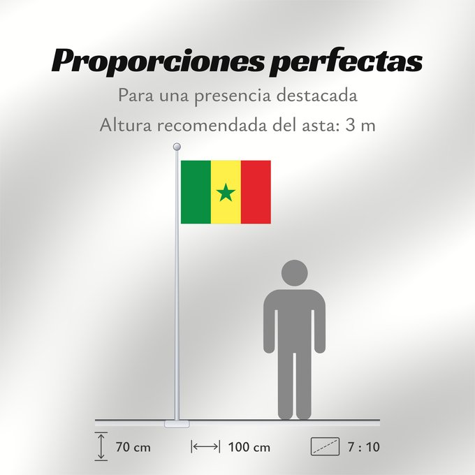 Proporciones de la bandera: Senegal Sénégal Senegalo پرچم سنگال Senegala