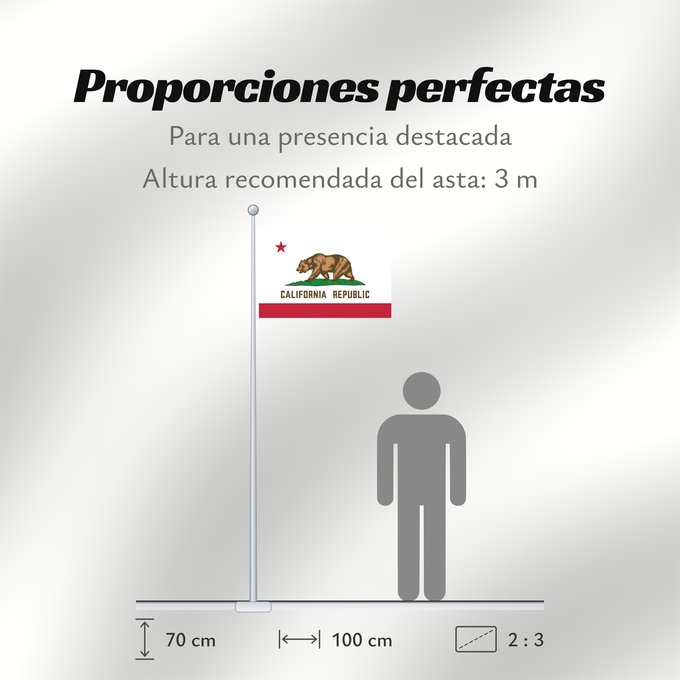 Proporciones de la bandera: California	Californie	Kalifornien	Californië	ᎠᏕᎳᏧᏢᎢ ᎦᏓᏘ	Ka hae Kaleponi	דגל מדינת קליפורניה	Californiae	Ahééháshį́į́h Hahoodzo bidah naatʼaʼí	Флаг Калифорнии	Američke savezne države Kalifornije	ⴰⵙⴻⵏⵢⴰⵍ ⵏ ⴽⴰⵍⵉⴼⵓⵕⵏⵢⴰ