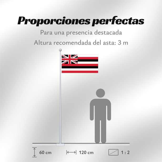 Proporciones de la bandera: Hawaii D Hawaï Hawái Banniel Hawaii ᎭᏩᏱ ᎦᏓᏘ Ka hae Hawaiʻi 夏哇夷 州의 旗 / 하와이 주의 기 Havaii Hawáai Hahoodzo bidah naatʼaʼí Флаг Гавайев Američke savezne države Havaji