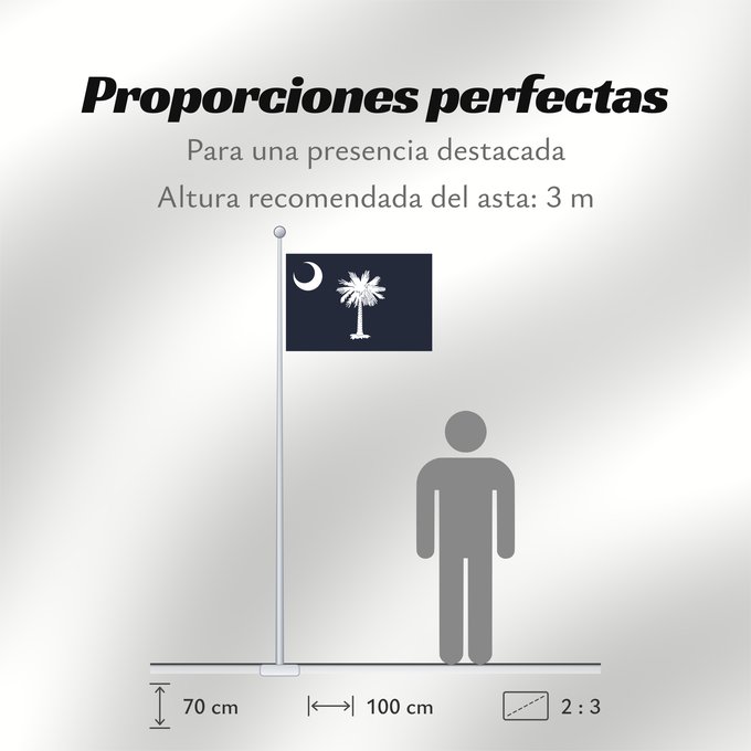 Proporciones de la bandera: South Carolina	Caroline du Sud	Carolina del Sur	Carolina del Sud	علم كارولاينا الجنوبية	ᏐᎦᎴᏂ ᎦᏓᏘ	Ka hae Kalolaina Hema	Carolinae Meridionalis	Shádiʼááhjí Kééláanah Hahoodzo bidah naatʼaʼí	Флаг Южной Каролины	Američke savezne države Južne Karoline