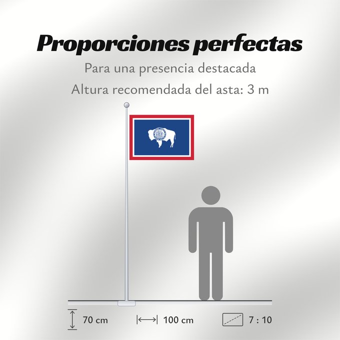 Proporciones de la bandera: Wyoming Ka hae Waiomina Vyominae Wááʼóómii Hahoodzo bidah naatʼaʼí Флаг Вайоминга Američke savezne države Vajoming