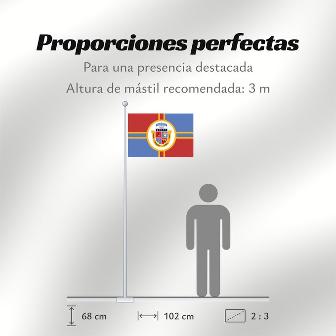 Proporciones de la bandera: Flores Department	Flores