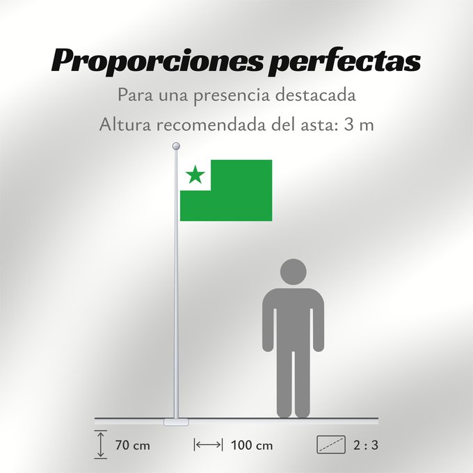 Proporciones de la bandera: Esperanto	Neutral international language Esperanto and the movement associated with it	La langue internationale Esperanto et du mouvement qui lui est associé	La lengua planificada Esperanto y de los movimientos asociados a ella	Plansprache Esperanto und d