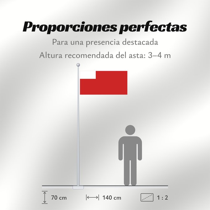 Proporciones de la bandera: Abu Dhabi	D Abou Dabi	علم أبو ظبي	Abu Dabi	Прапор Абу-Дабі