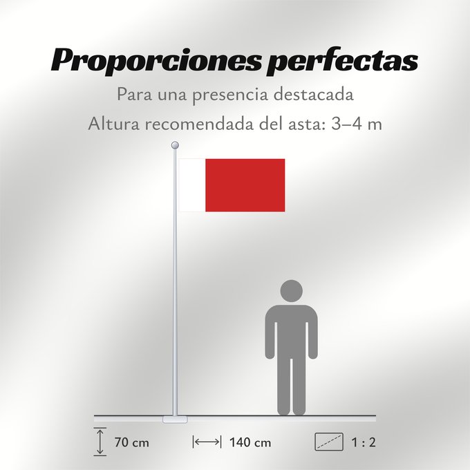 Proporciones de la bandera: Dubai	Dubaï