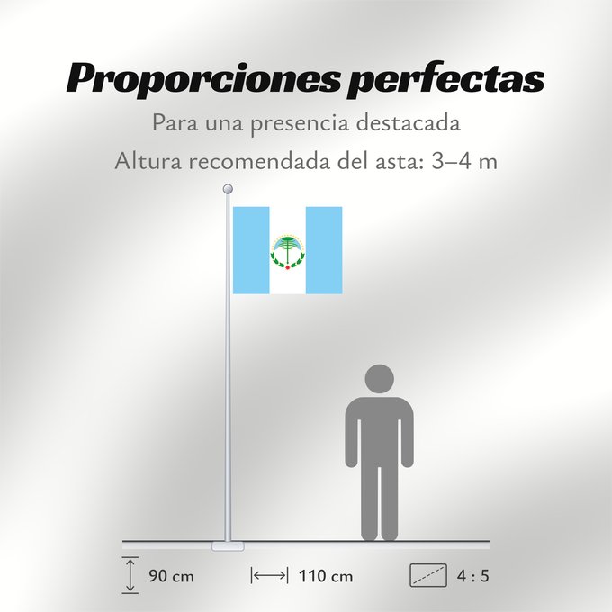 Proporciones de la bandera: Neuquén