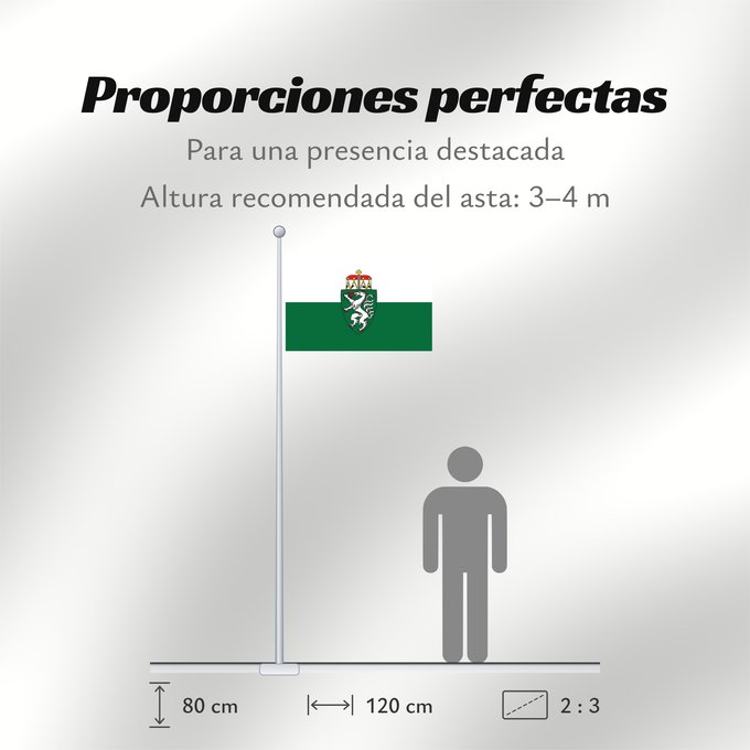 Proporciones de la bandera: Styria	White-green. Colours of the state of Styria	Styrie	Estiria	Weiß-grün. Landesfarben der Steiermark	Stiria