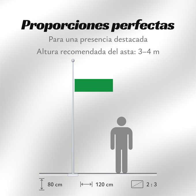 Proporciones de la bandera: Styria	White-green. Colours of the state of Styria	Styrie	Estiria	Weiß-grün. Landesfarben der Steiermark	Stiria