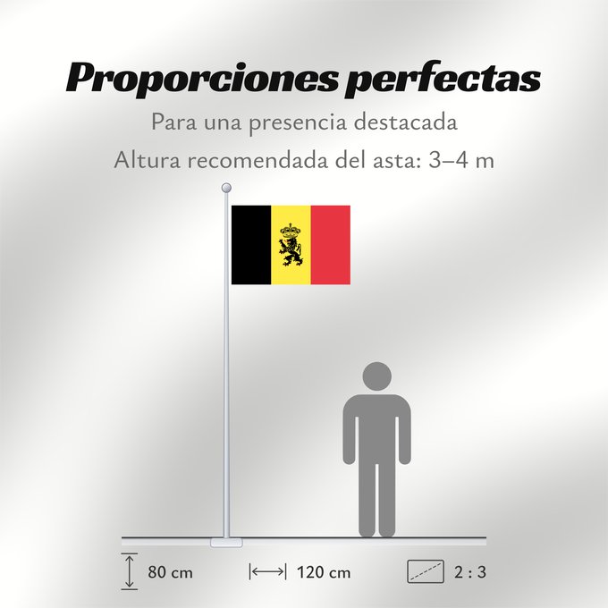 Proporciones de la bandera: Belgium  civil	Belgium	Belgique	Bélgica	Belgien	Belgio