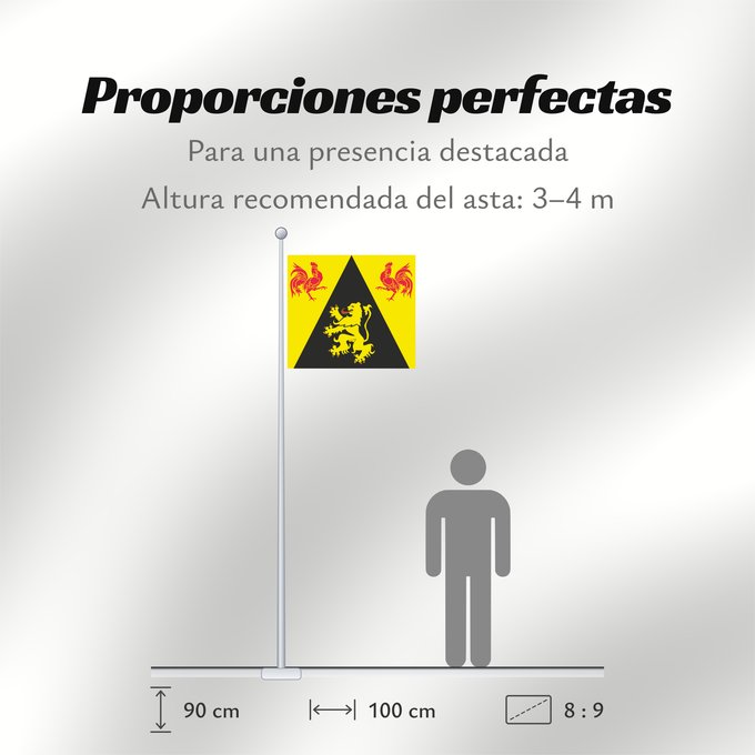 Proporciones de la bandera: Province BE Brabant Wallon Walloon Brabant Brabant wallon Brabante Valón Wallonien Brabant Brabante Vallone