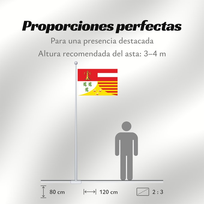 Proporciones de la bandera: Liège (fr)