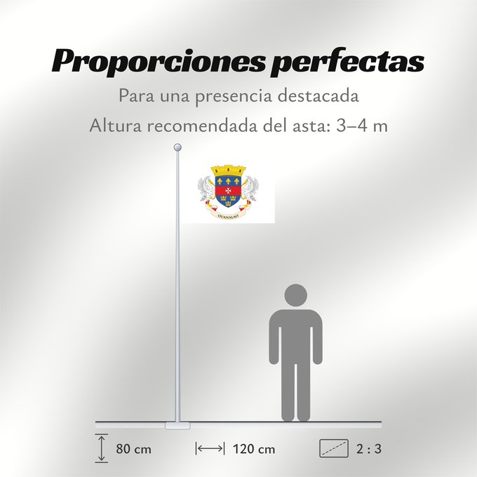 Proporciones de la bandera: Saint Barthélemy