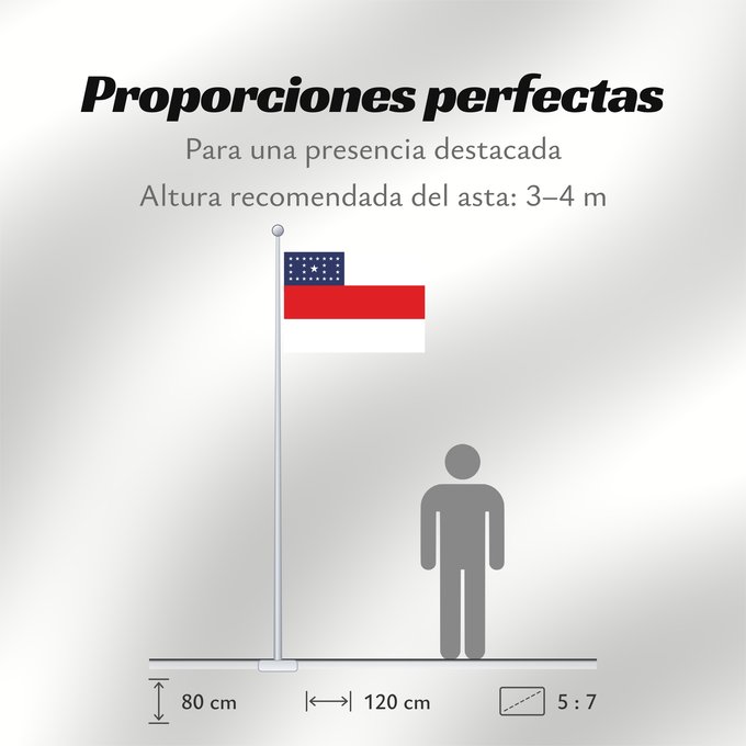 Proporciones de la bandera: Amazonas	Amazonas, state of Brazil	L’Amazonas, état du Brésil	Amazonas, Brasil	Amazonas, stato del Brasile	Estado do Amazonas, Brasil	علم أمازوناس، دولة البرازيل	Σημαία της Αμαζόνας	پرچم آمازوناس دولت برزیل	דגל אמסונס, מדינת ברזיל	अमेज़न	Banyè fanmi Amazo