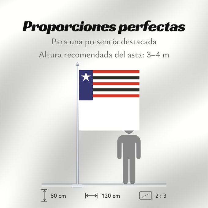 Proporciones de la bandera: Maranhão