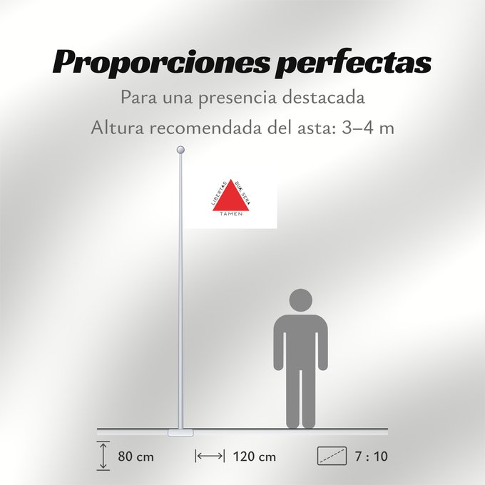 Proporciones de la bandera: Minas Gerais	Brazilian state of Minas Gerais is based on state law 2793 from 8 January 1963, which describes the flag as follows In the centre of a white rectangle in the format 20 units by 14 units is a red equilateral triangle with a side length of 8 un