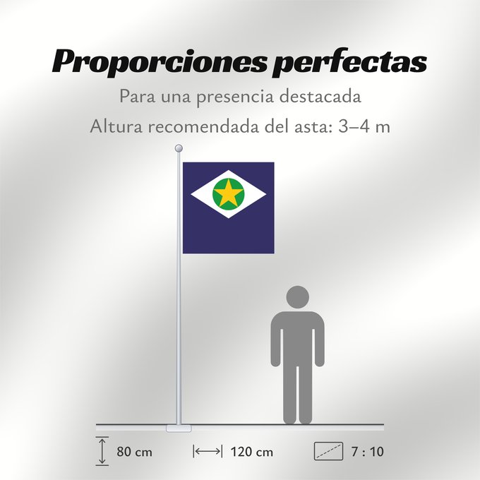 Proporciones de la bandera: Mato Grosso	State of Mato Grosso, Brazil	Mato Grueso	Mato Grosso, Brasil