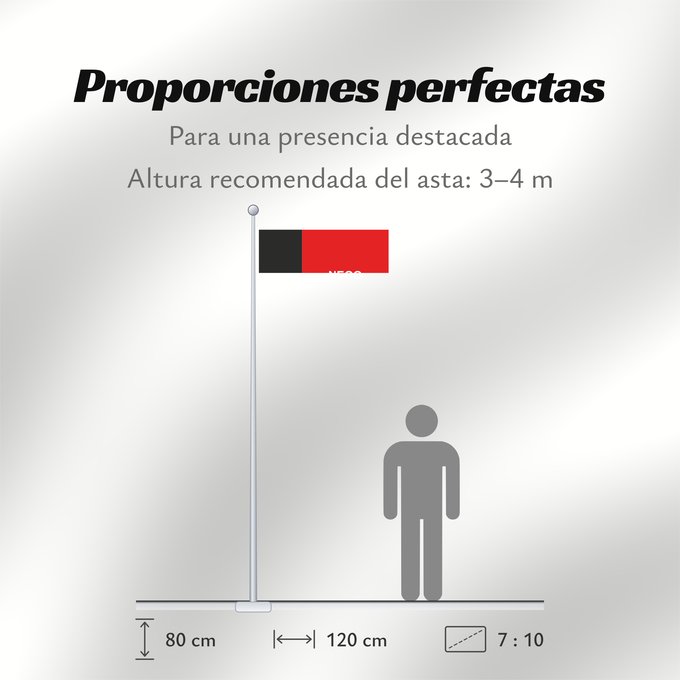 Proporciones de la bandera: Paraíba