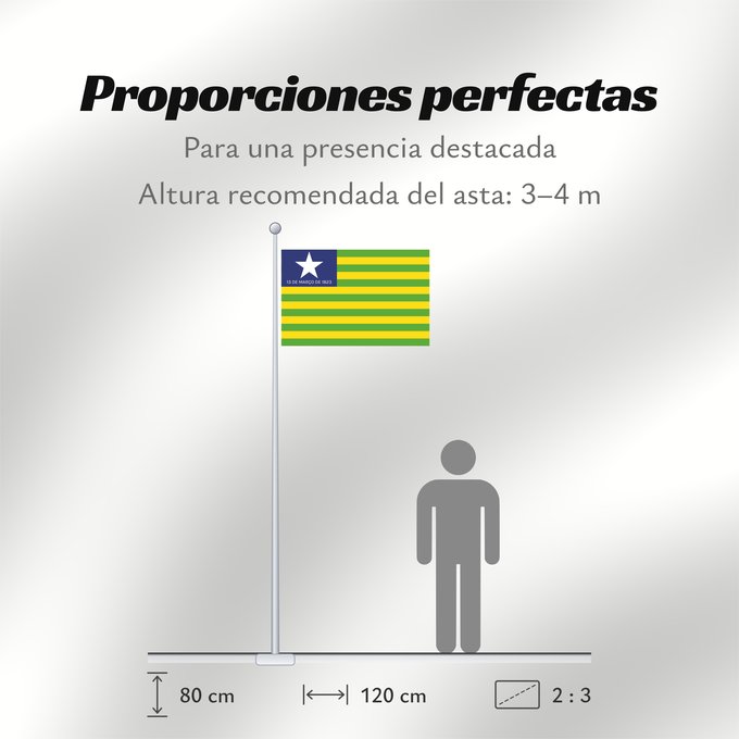 Proporciones de la bandera: Piauí