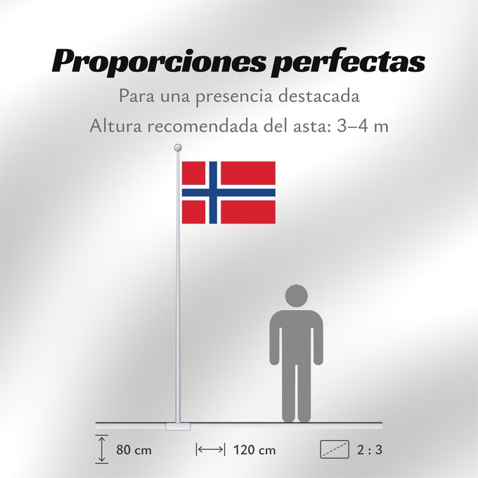 Proporciones de la bandera: Bouvet Island