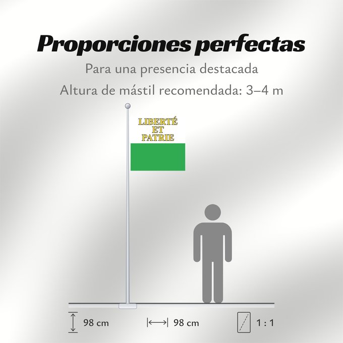 Proporciones de la bandera: Canton of Vaud	Vaud	canton de Vaud	República y cantón de Vaud	Vaud 
