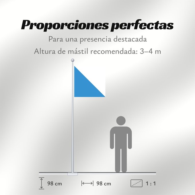 Proporciones de la bandera: Zürich (de)