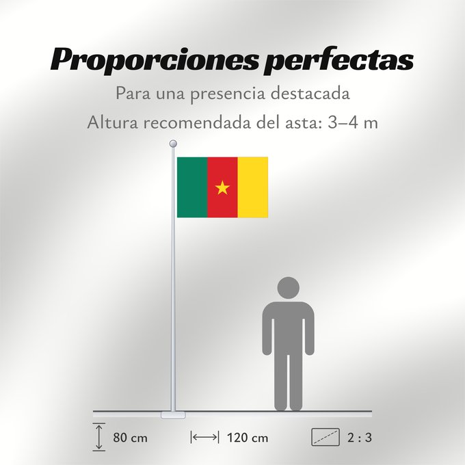 Proporciones de la bandera: Cameroon Cameroun Camerún Kamerun Camerun ক্যামেরুনের পতাকা। Kamerunu Kameruno پرچم کامرون Fändel vum Kamerun Знаме на Камерун Camerunului Kameruna Kameruns