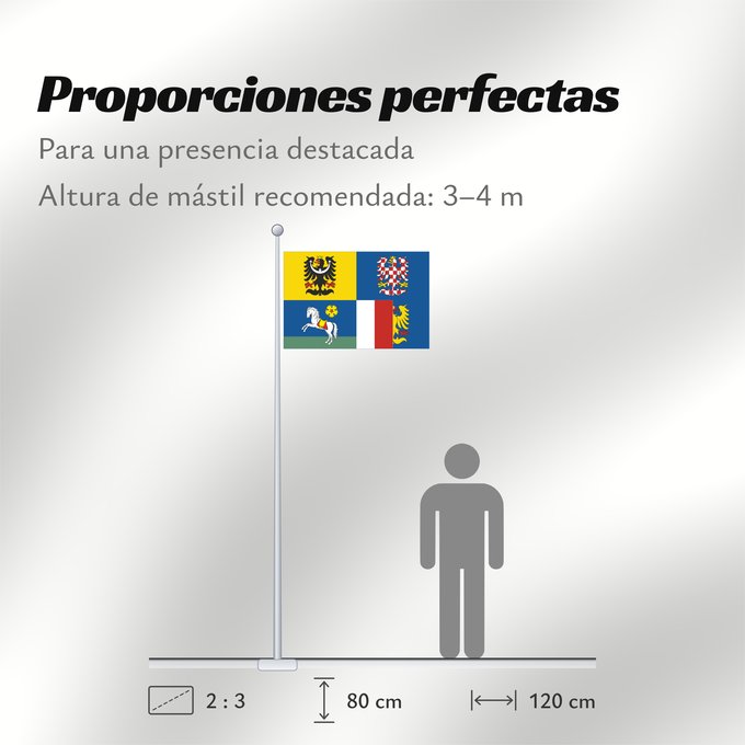 Proporciones de la bandera: Moravian-Silesian Region	Région de Moravie-Silésie	Región de Moravia-Silesia	Moravian-Silesian	Moravskoslezského kraje čtvrcený list v horním žerďovém žlutém poli slezská orlice v dolním žerďovém modrém poli na zeleném trávníku