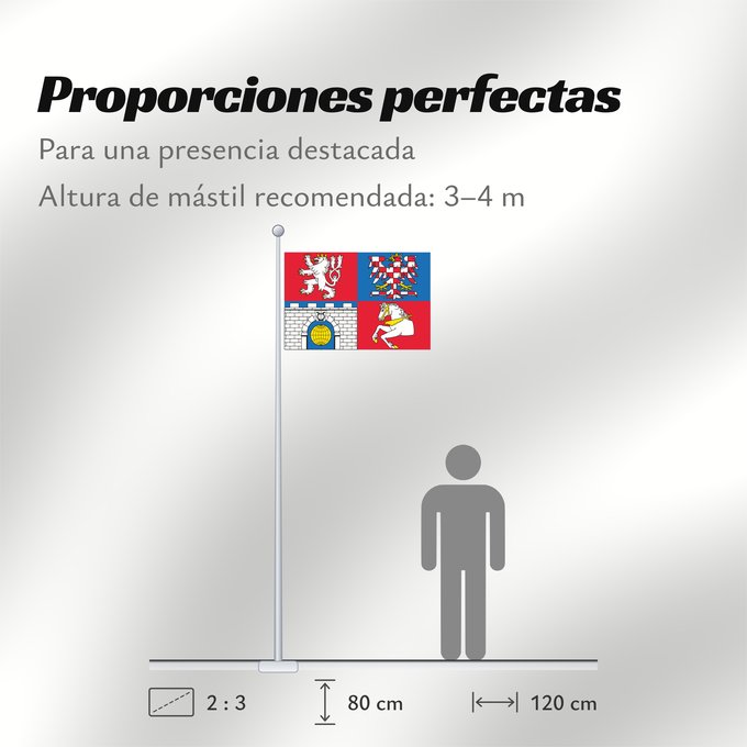 Proporciones de la bandera: Pardubice Region	Région de Pardubice	Región de Pardubice	Region Pardubice	Pardubice Regione