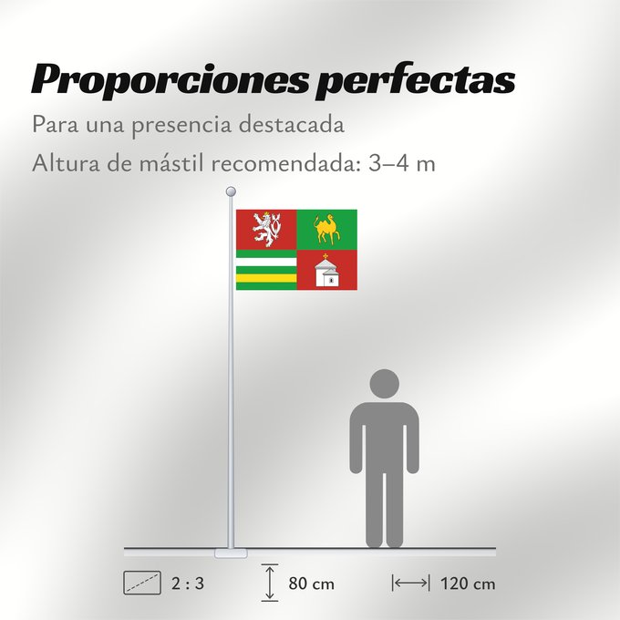 Proporciones de la bandera: Plzen Region	Plzeň Region	Région de Plzeň	Región de Pilsen	„Region Pilsen