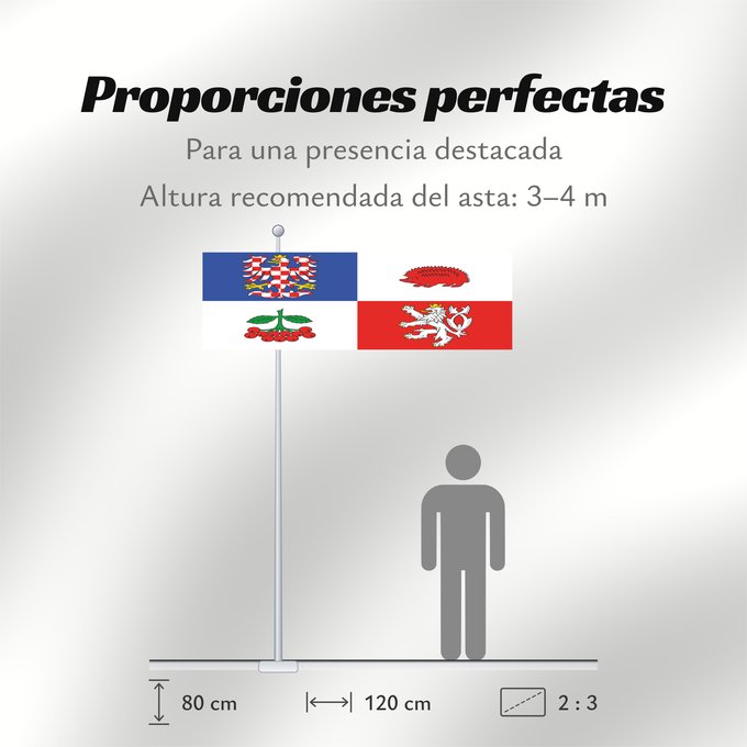 Proporciones de la bandera: Vysocina Region Vysočina Region Région de Vysočina Región de Vysočina Region Vysočina