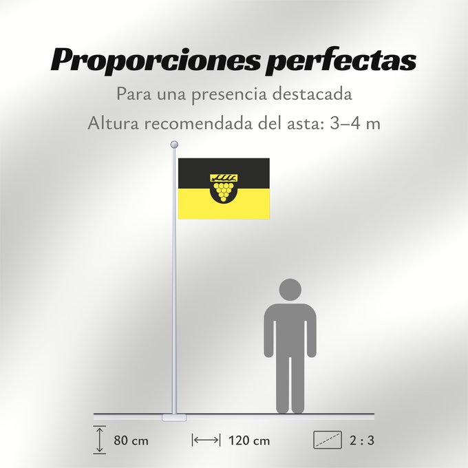 Proporciones de la bandera: Weinstadt (Region Stuttgart)