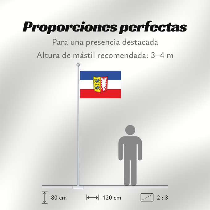 Proporciones de la bandera: Schleswig-Holstein