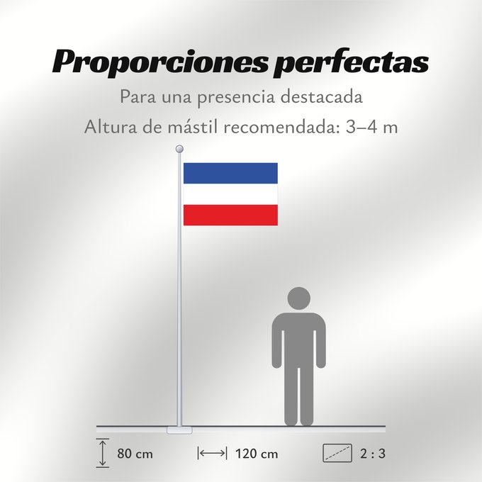 Proporciones de la bandera: Schleswig-Holstein