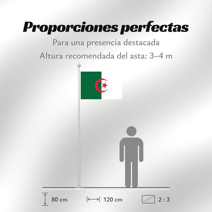 Proporciones de la bandera: Algeria	L Algérie	Argelia	Algerien	Dell Algeria	Algerije	Argélia	Algierii	Vo Algérie	علم الجزائر	Σημαία της Αλγερίας	Alĝerio	Algerian	דגל אלג יריה	Algéria	Aljazair	アルジェリアの国旗	Asenǧaq n Dzayer	알제리의 국기	Drapèu d Argeria	Флаг Алжира	Alžirije	Algeriets	ⴰⵏⴰⵢ ⴰⴷⵣ