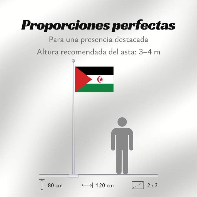 Proporciones de la bandera: Sahrawi Arab Democratic Republic Western Sahara République arabe sahraouie démocratique República Árabe Saharaui Democrática Demokratischen Arabischen Republik Sahara Repubblica Democratica Araba Sahrawi Arabische Democratische Republiek Sahara República